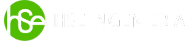 Logotipo de H.S.E INGENIERIA S.R.L